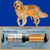 Microchips in pets